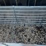 Raised garden bed Image 3