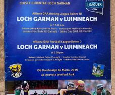 2015 Wexford v Limerick - GAA Allianz Hurling & Football League Programme