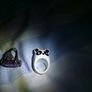 Ring haul Image 2