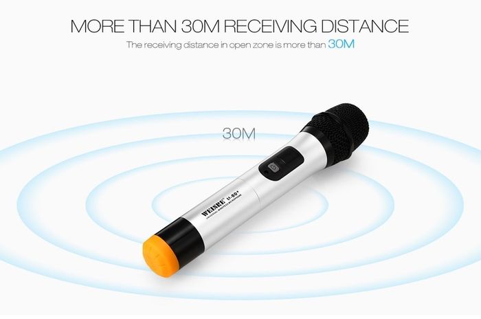 Brand New Best Pro  Universal Wireless Microphone Black