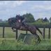 Horse@26