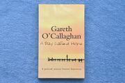 Book A Day Called Hope by Gareth O'Callaghan