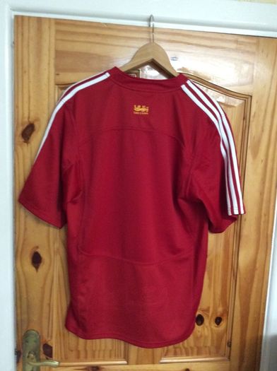 British And Irish Lions Rugby. Official Mens Size Medium Adidas Lions Home Jersey. Tour Of South Africa 2009. Collect In Dublin Or Receive Via Post.