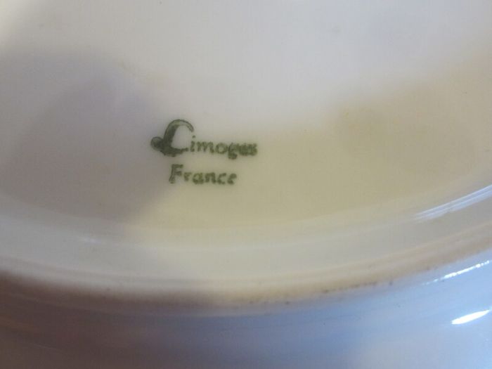 Limoges France plate    10 inch