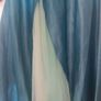 Anna's  Frozen II dress Image 4