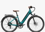 FIIDO C11 PRO City Electric Bike