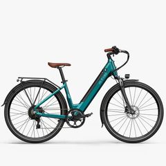 FIIDO C11 PRO City Electric Bike