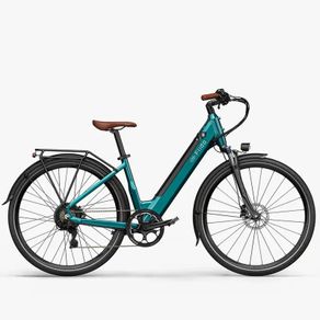 FIIDO C11 PRO City Electric Bike