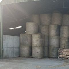 Hay