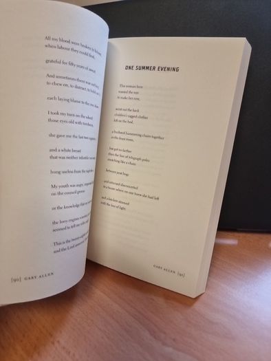 The New North: Contemporary Poetry from Northern Ireland (Paperback)