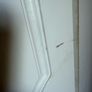 Standalone Wardrobe & 2 Bedside Lockers Image 7