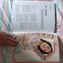 book: Laine 52 Weeks of Easy Knits Image 6