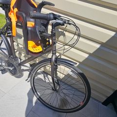 Raleigh Bike