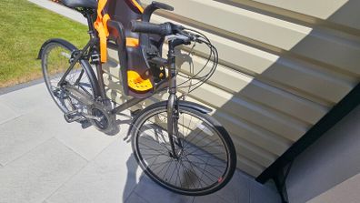 Raleigh Bike