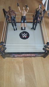 Wresting  ring with figures