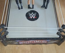 Wresting  ring with figures