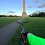 Giant Gravel Bike Image 8