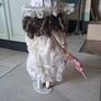 Porcelain doll Image 2