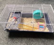 Hamster cage and accessories