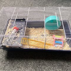 Hamster cage and accessories