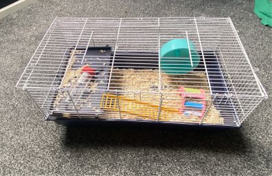 Hamster cage and accessories
