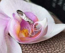 Brand-new Ring never worn