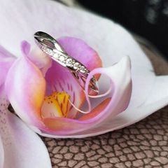 Brand-new Ring never worn