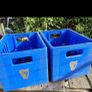 Guinness beer crates Image 2