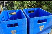 Guinness beer crates