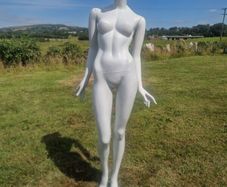 Female Mannequin