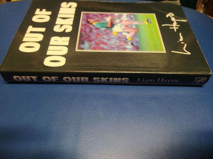 Liam Hayes - Out Of Our Skins