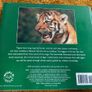 Tigers by K Ullas Karanth WWF wildlife book Image 4