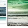 Gradual Green Filter Image 2