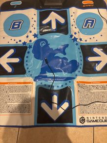 Nintendo GameCube Dance Mat