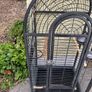 parrot cage Image 2