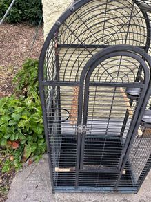 parrot cage
