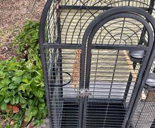parrot cage