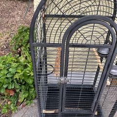 parrot cage