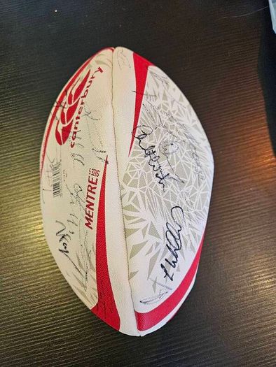 Lions rubgy ball  certified
