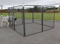 main image for ad New 8 Panel Dog Enclosure Kennel Free Delivery