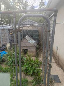 pet safe dog run