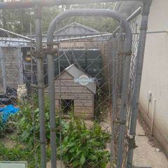 pet safe dog run