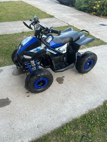 Renegade 1100w 48v electric quad