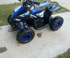 Renegade 1100w 48v electric quad