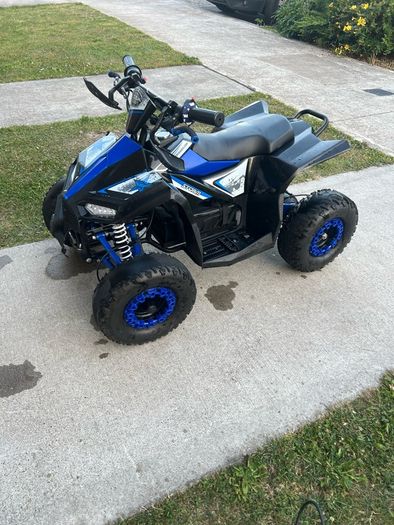 Renegade 1100w 48v electric quad