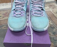 LeBron Witness VIII