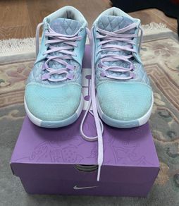 LeBron Witness VIII