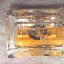 Dolce and Gabbana The One 50ml Image 3