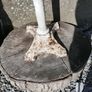 Antique Cast Iron Garden Decoration Image 4