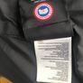 Canada goose Image 3